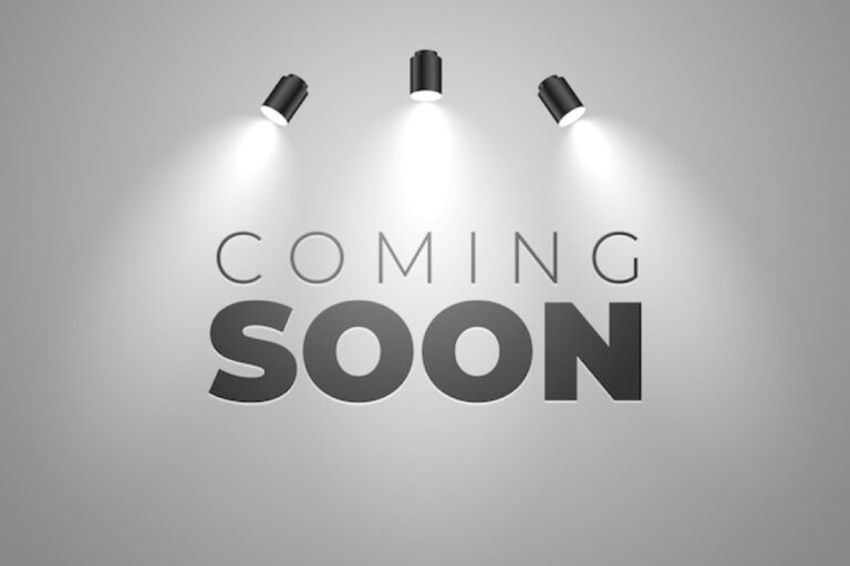 Shree Balaji Detchem